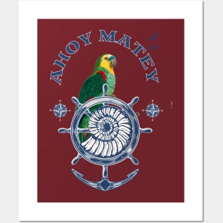 Ahoy Matey Parrot Posters and Art